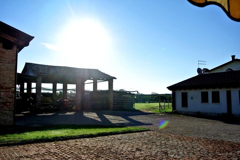 Agriturismo Sartori Terenzio Quinto Vicentino Exterior photo